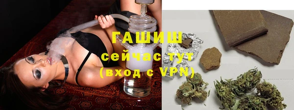 PSILOCYBIN Балахна