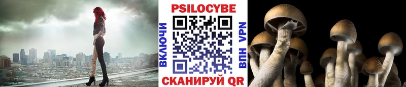 ссылка на мегу tor  Елизаветинская  Псилоцибиновые грибы Psilocybine cubensis  купить наркотик 